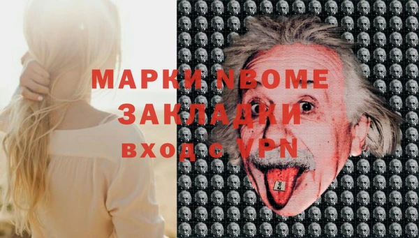 PSILOCYBIN Горно-Алтайск