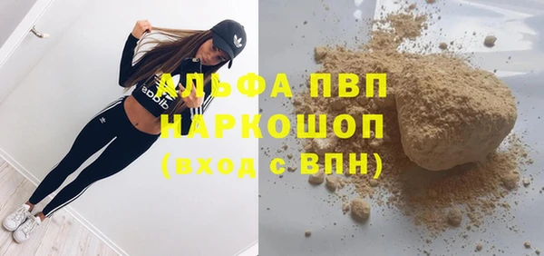 сатива Горнозаводск