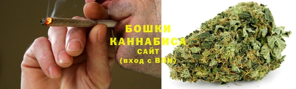 a pvp Горняк