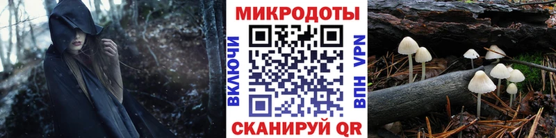 гидра ссылки  Заозёрск  Галлюциногенные грибы Psilocybine cubensis 